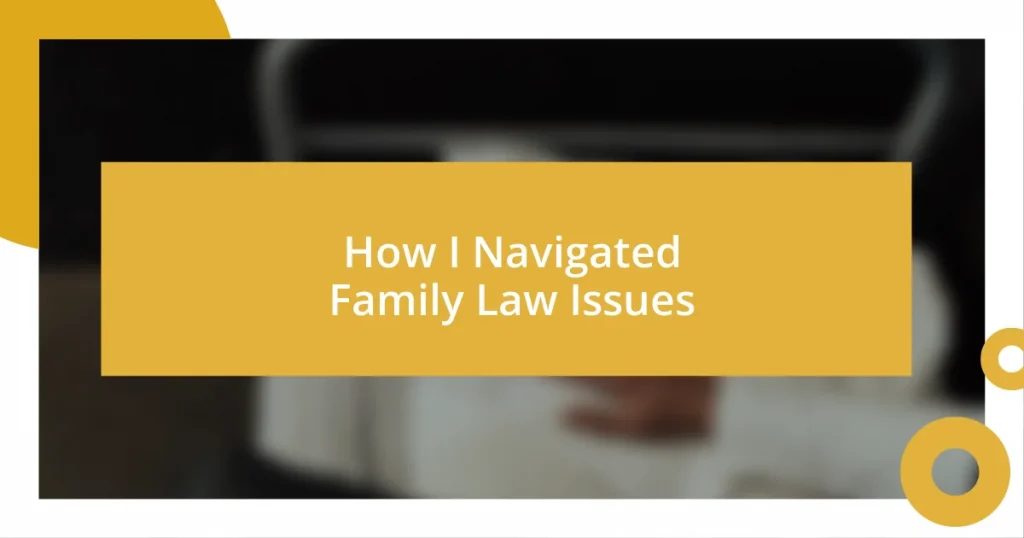 How I Navigated Family Law Issues